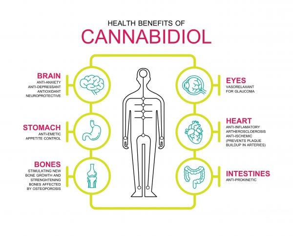 benefits of cannabinoids 