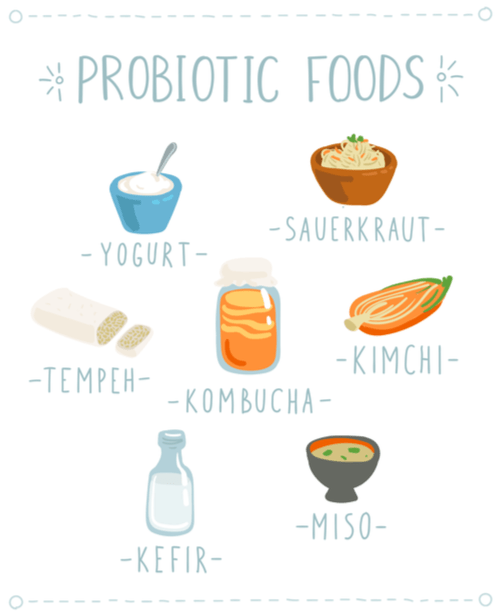 probiotic foods to remedy the common cold