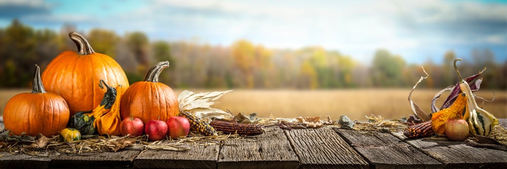 Fall season foods banner