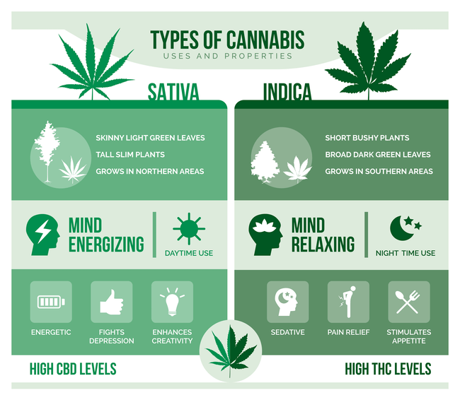 indica and sativa differences chart