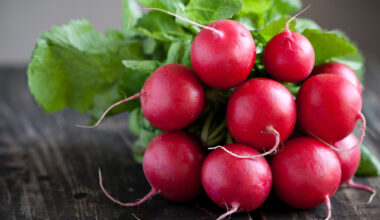 benefits of radishes