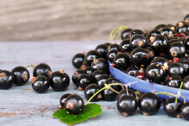 blackcurrants