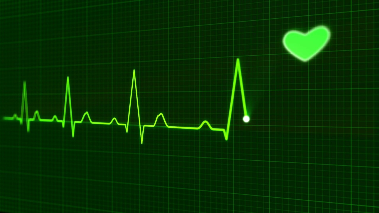 heartbeat monitor with heart icon