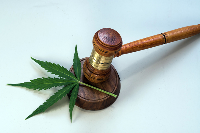 Legalize-Medical-Marijuana