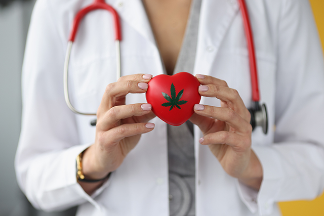 A female doctor holds a small heart with a cannabis leaf on it