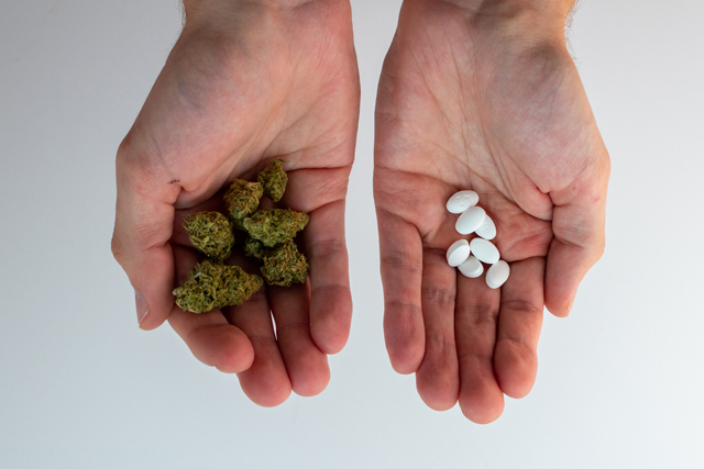 Antibiotics-Cannabis-Interactions