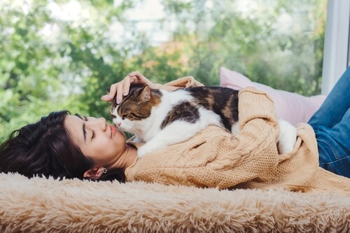 Emotional support cat cuddling with owner