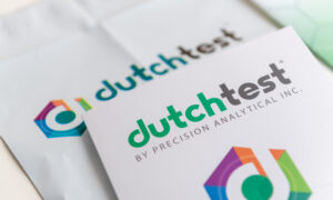 dutch test comprehensive guide