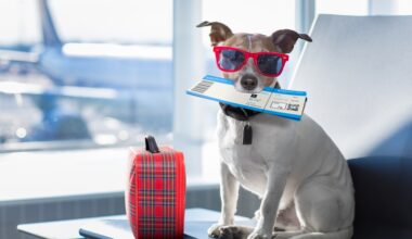 Dog in airport with plane ticket waiting for flight