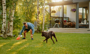 Man happily playing fetch with his Emotional Support Animal