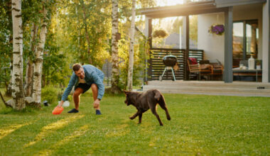 Man happily playing fetch with his Emotional Support Animal