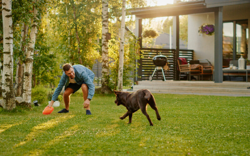 Man happily playing fetch with his Emotional Support Animal