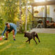 Man happily playing fetch with his Emotional Support Animal