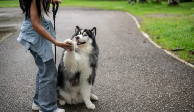 Young woman getting a paw from her dog while on a walk