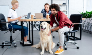 Young happy business people in the office with a dog