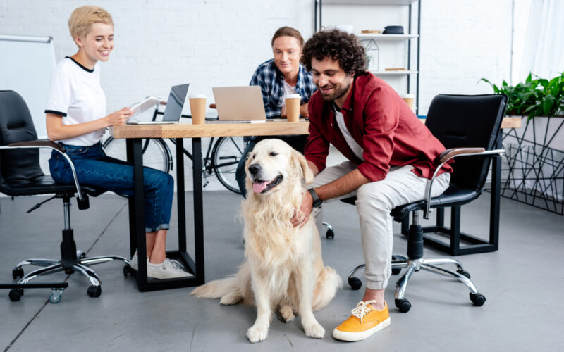 Young happy business people in the office with a dog