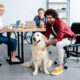 Young happy business people in the office with a dog