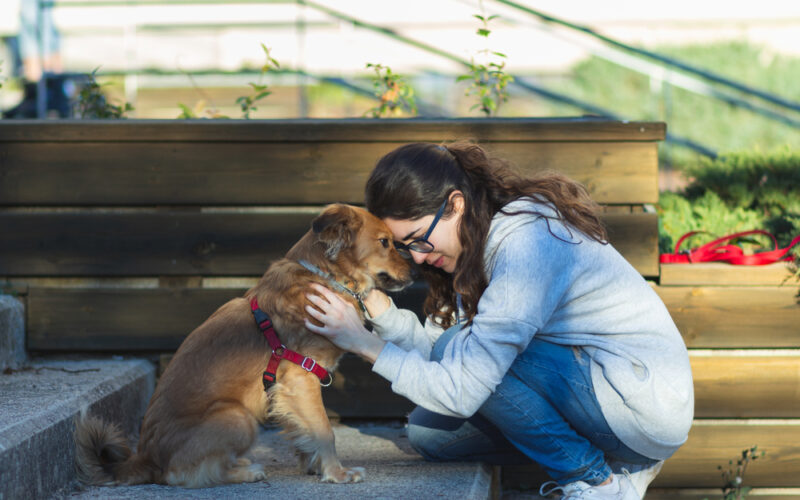 Woman hugging her dog and having an emotional moment