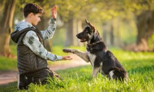 A kid playing with his dog in the park