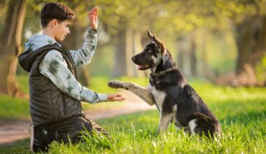 A kid playing with his dog in the park