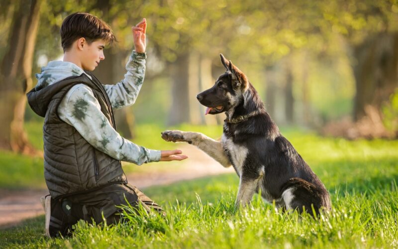 A kid playing with his dog in the park
