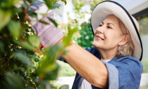 Smiling older woman wearing a wide-brimmed hat and gardening gloves while trimming green plants, representing vitality, energy, and healthy aging supported by NAD+ therapy.